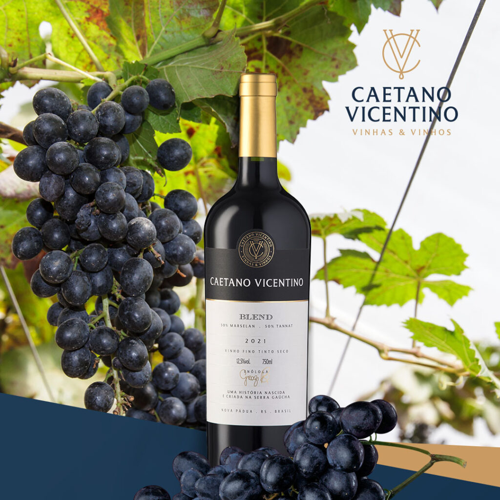 caetano vicentino blend