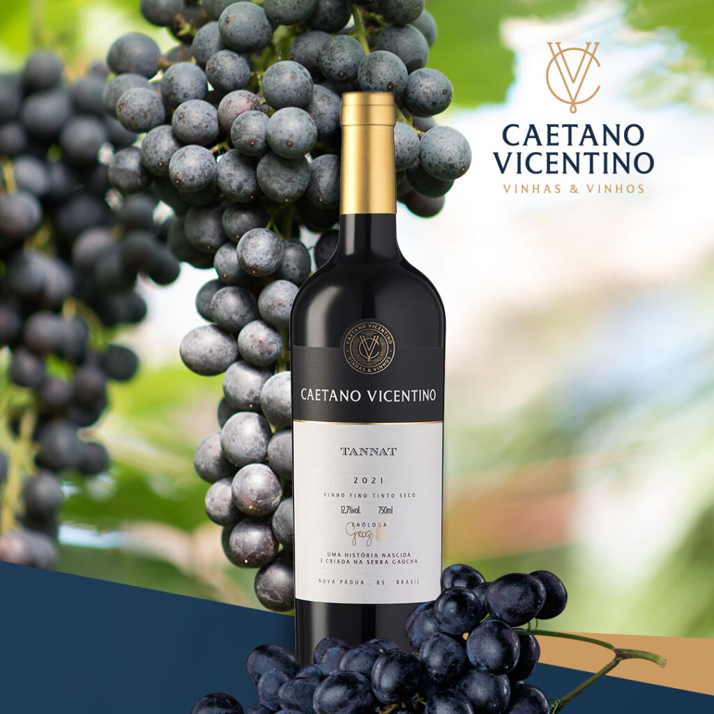 caetano vicentino tannat